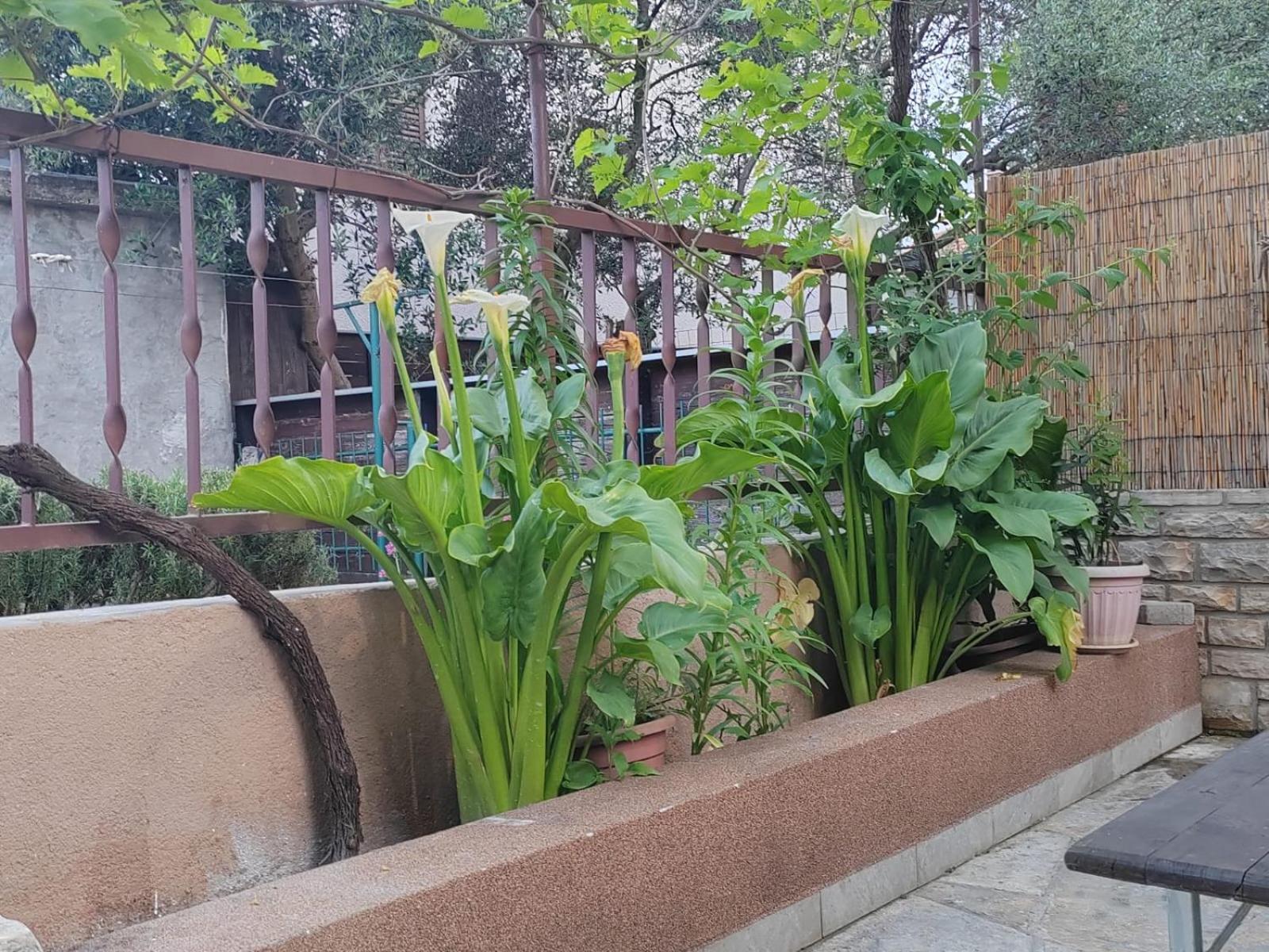 Apartman Oli Zadar Exterior foto